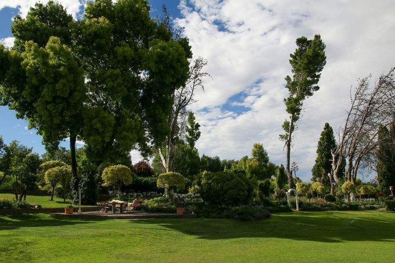 Evergreen Bloom Garden Co.