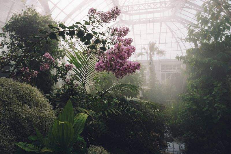 Evergreen Bloom Garden Co. 13