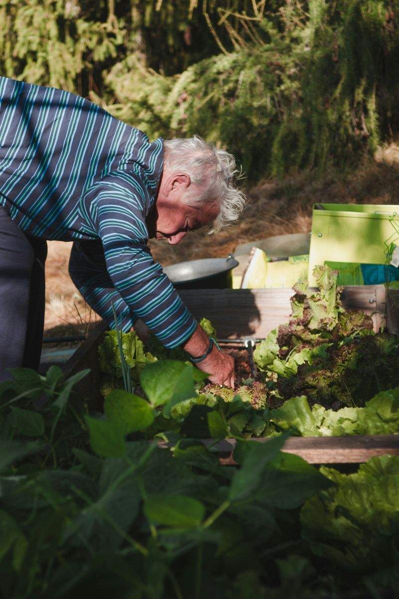 Evergreen Bloom Garden Co. 14