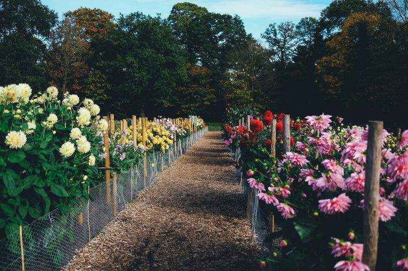 Evergreen Bloom Garden Co. 2