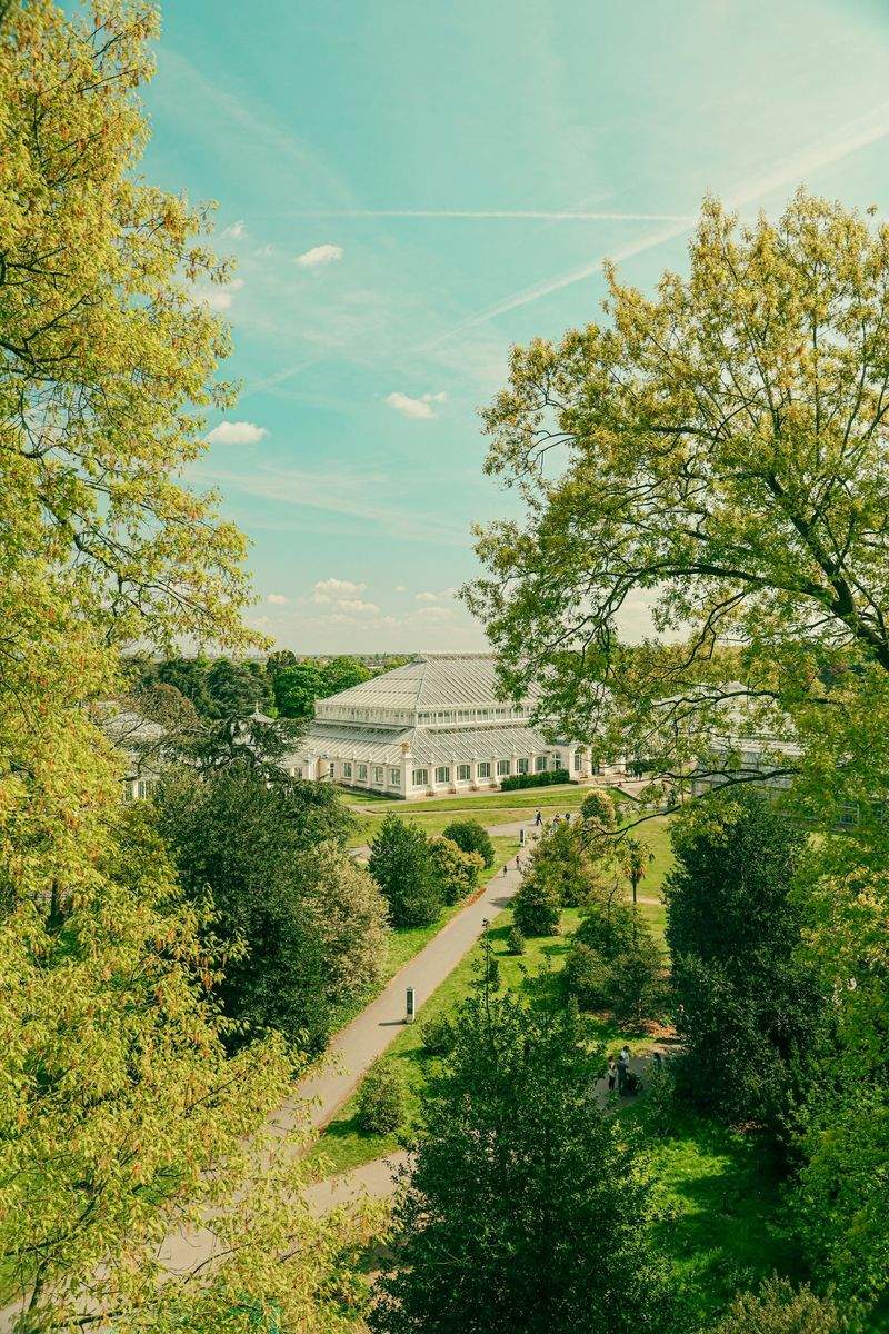Evergreen Bloom Garden Co. 3