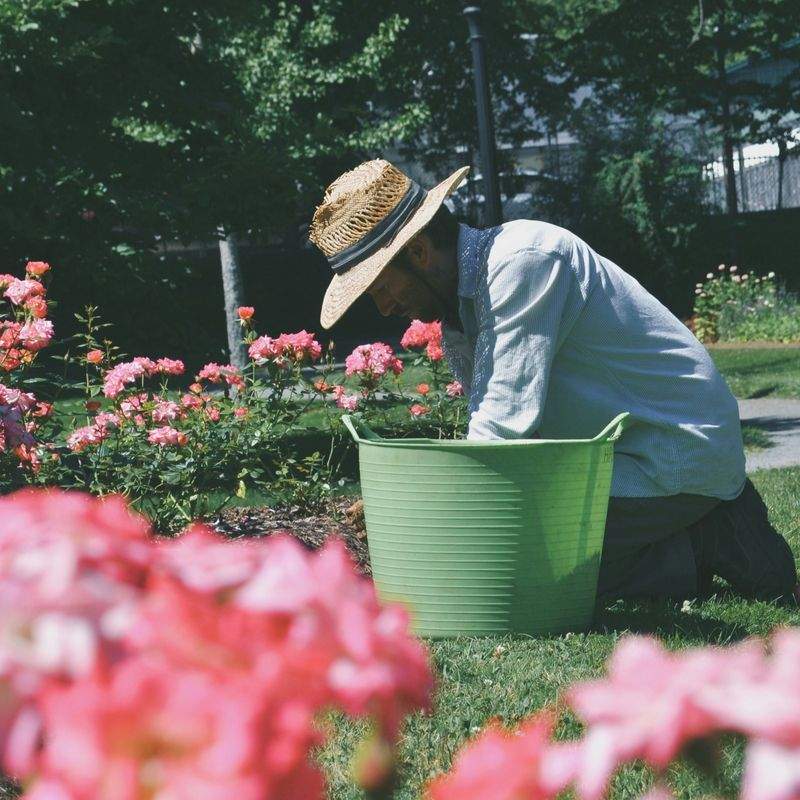 Evergreen Bloom Garden Co. 7