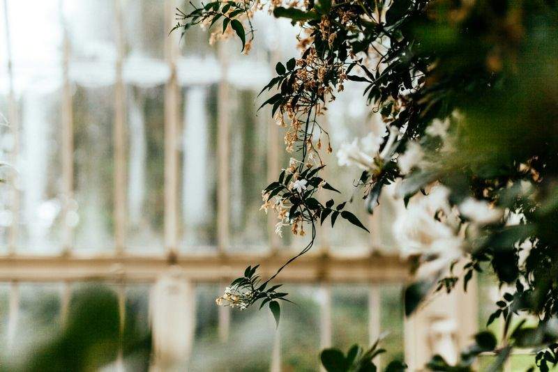 Evergreen Bloom Garden Co. 9