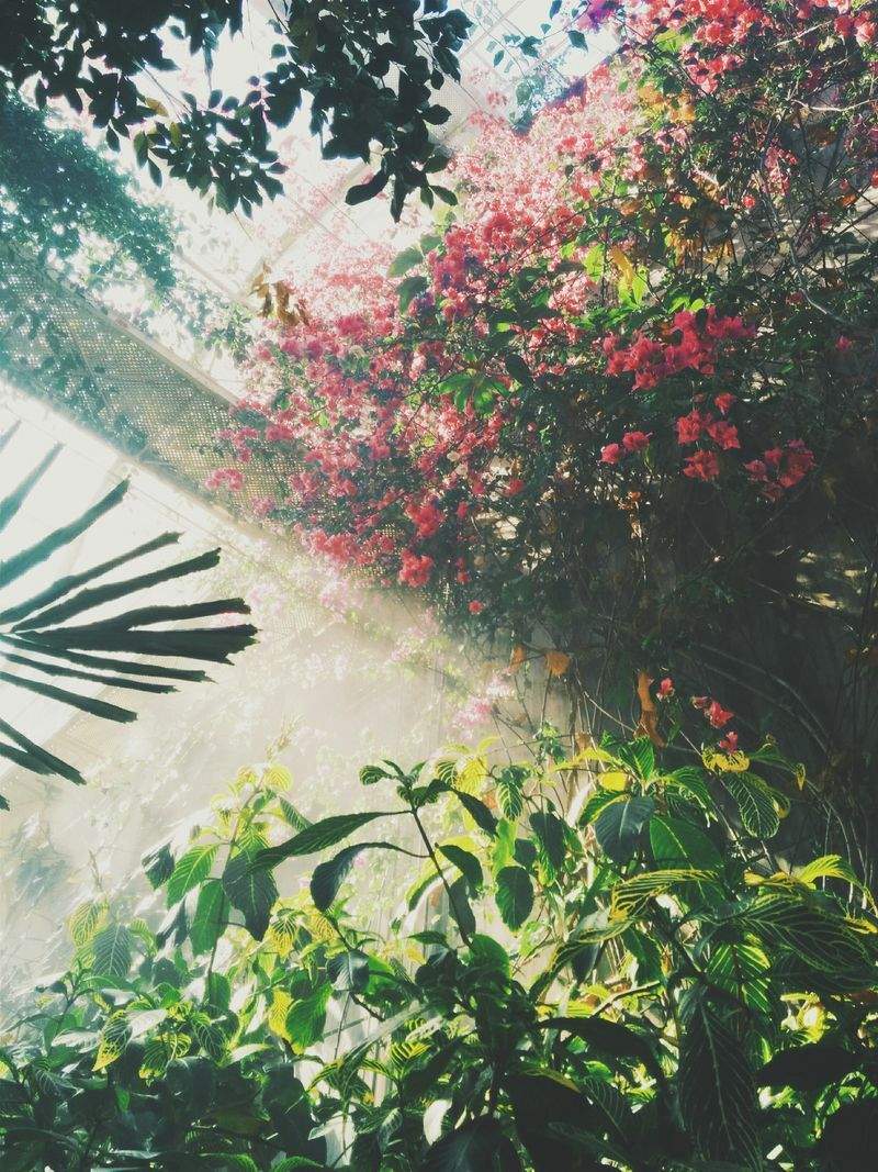 Evergreen Bloom Garden Co.