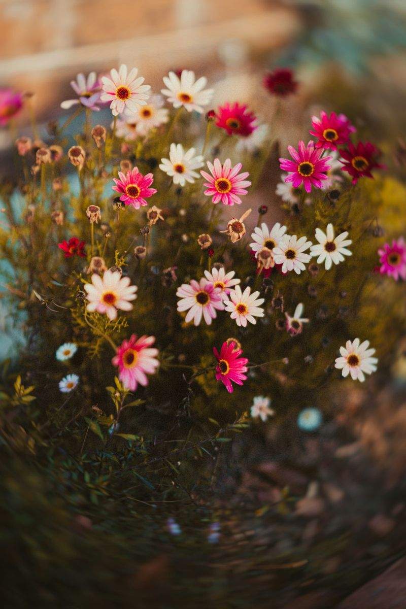 Seasonal garden cleanups