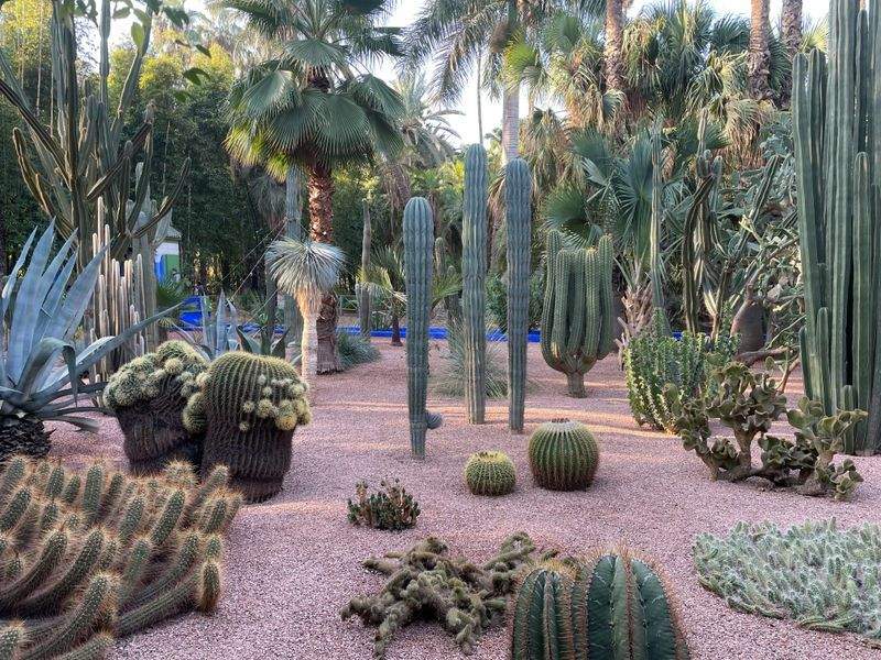 Mulching and soil improvement